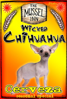 chihuahua-019 chihuahua-019